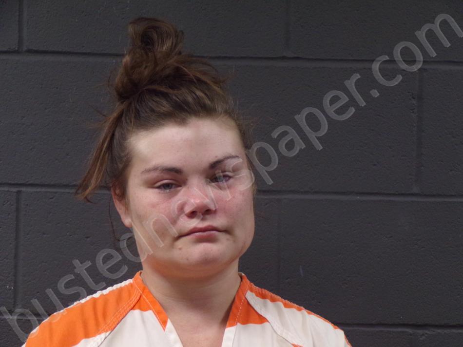PARKS, JENNIFER ELAINE #, Mcdonald County, Missouri - 2023-11-15 19:31:00