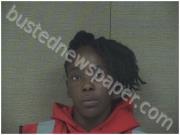 BECKETT, SHAMEKA | 2023-11-15 Harnett County, North Carolina Booking