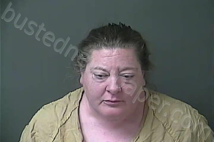 COOK, MELISSA MARIE #, Howard County, Indiana - 2023-11-17 03:10:00