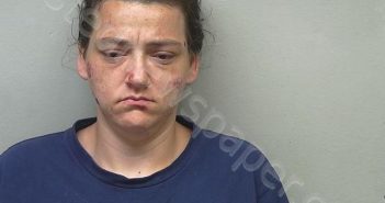 <B>NETTERVILLE</B>, <B>AMANDA</B> <B>PAIGE</B> #, Lauderdale County, Alabama - 2023-11-17 03:15:00