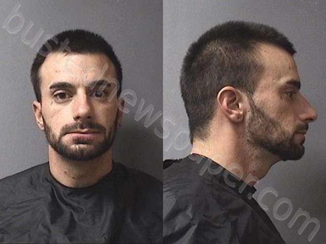 PASCHAL, DYLAN ELLIOTT #, Madison County, Indiana - 2023-11-17 12:17:00