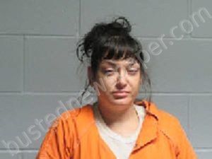 VICKERY, ALEISHA NICOLE | 2023-11-18 02:08:00 Polk County, Texas Booking