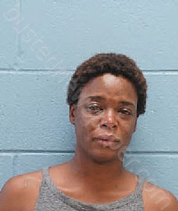 MARNESHA CHIARRA DANA BOLER-MATTHEWS | 2023-11-18 Lee County, Alabama Booking