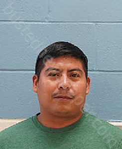 OSWALDO GONZALES DOMINGO | 2023-11-19 Lee County, Alabama Booking