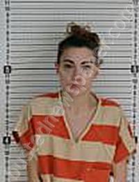 WARD, BREEANNA NICOLE #, Williams County, North Dakota - 2023-11-20