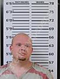AUSTIN, DUSTIN JAMES #, Carter County, Tennessee - 2023-11-21