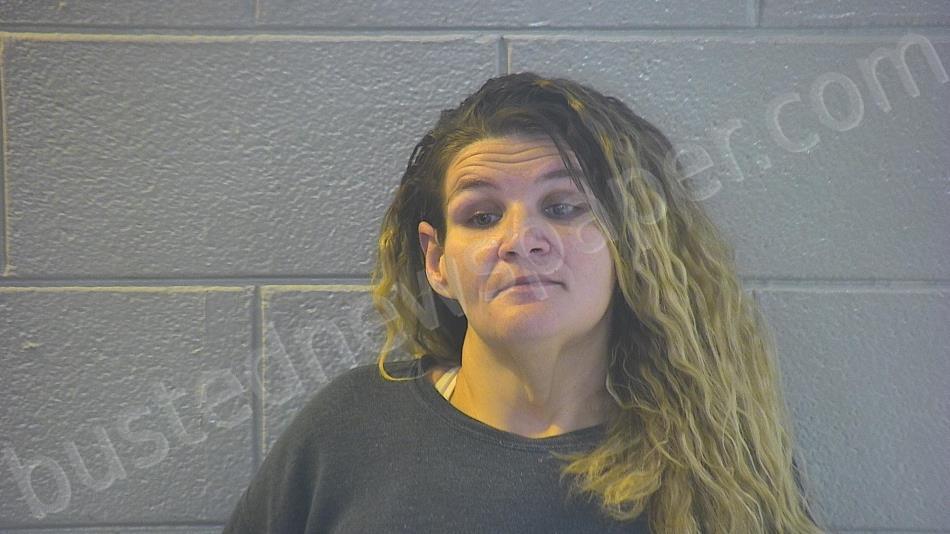 LOPEZ-GONZALEZ, TABITHA ANN #, Pulaski County, Kentucky - 2023-11-22 16:05:00