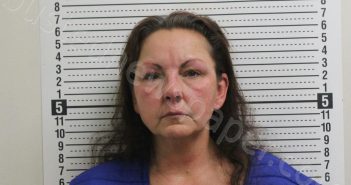 <B>JOHNSON</B>, <B>KIMBERLY</B> <B>MARIE</B> #, Ross County, Ohio - 2023-11-22 17:29:00