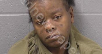 LAUGHLIN, JOY | 2023-11-22 03:58:00 Will County, Illinois Booking