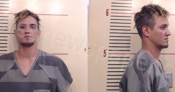 CASTRO, ALVARO TAMAYO | 2023-11-23 Parker County, Texas Booking