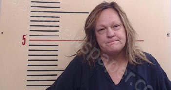 BLEVINS, ROBIN LAVERN | 2023-11-24 Parker County, Texas Booking