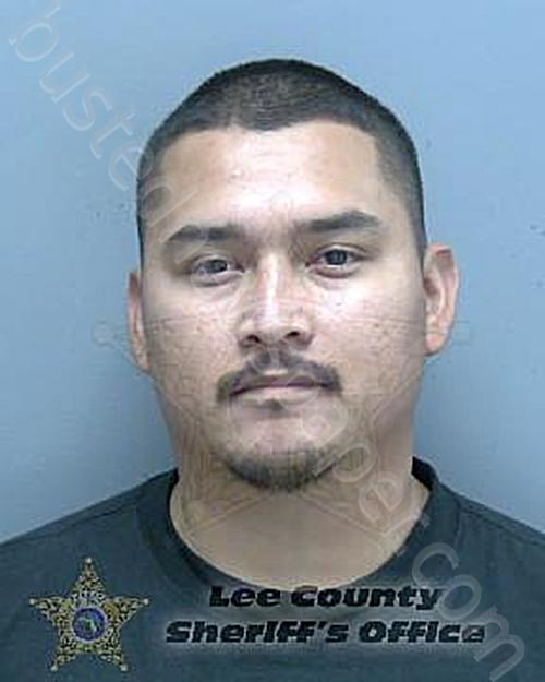 SALAS, CHRISTIAN OMAR #, Lee County, Florida - 2023-11-25 05:19:00