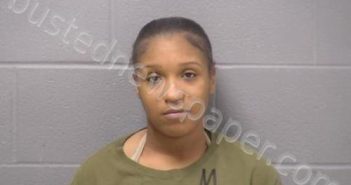 MARTIN, NEHEMIAH R | 2023-11-25 00:55:00 Will County, Illinois Booking