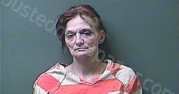 <B>COURSEL</B>, <B>AMBER</B> <B>JOANNE</B> #, Laporte County, Indiana, La Porte County, Indiana - 2023-11-25 03:47:00