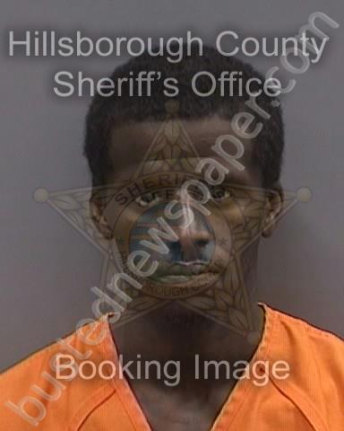 HOUSTON,GEORGE III #, Hillsborough County, Florida - 2023-11-26 15:24:00