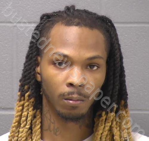 HAMILTON, DAVID A #, Will County, Illinois - 2023-11-26 21:22:00