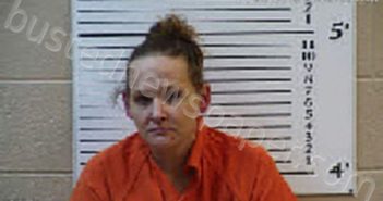 FINLEY, JOEL LYNN | 2023-11-26 02:12:00 Cherokee County, North Carolina Booking