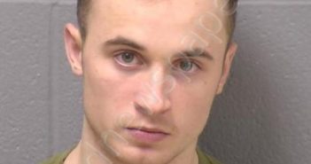 STOLZENBACH, GEOVANNI A | 2023-11-28 13:26:00 Will County, Illinois Booking