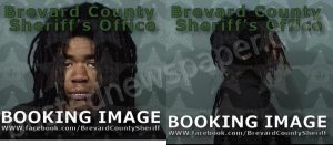 DAVIS, RENIA JANAE | 2023-11-28 18:26:00 Brevard County, Florida Booking