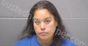 COSTILLA, EVANGELINA | 2023-11-28 22:41:00 Will County, Illinois Booking