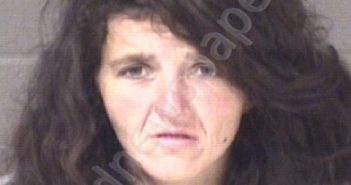 <B>JOHNSON</B>, <B>MARTHA</B> NICOLE #, Buncombe County, North Carolina - 2023-11-28
