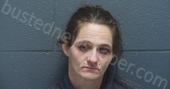 RICCI, TIFFANIE DAWN | 2023-11-29 03:44:00 Montgomery County, Indiana Booking