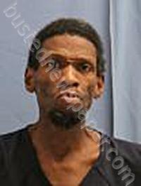 SHELTON, JOSHUA DANIEL #, Pulaski County, Arkansas - 2023-11-29