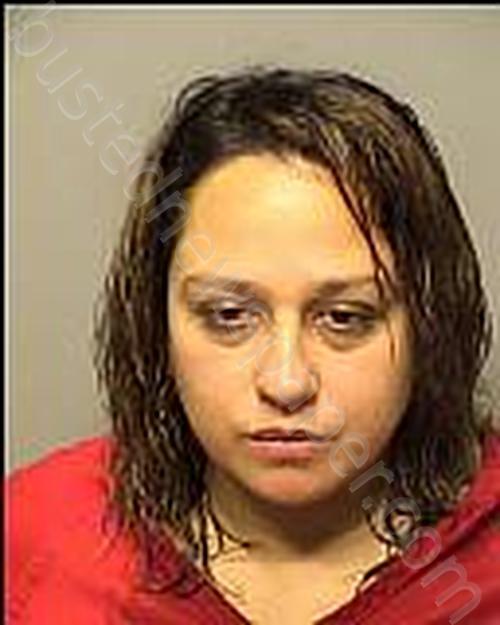 SOLIZ, MARIA GUADALUPE #, Porter County, Indiana - 2023-12-01 12:50:00