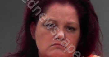 WELLS, CHRYSTAL LYNN | 2023-12-02 21:25:00 Marshall County, West Virginia Booking