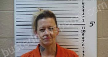 GRAVES, STACIE SABRINA | 2023-12-04 05:35:00 Cherokee County, North Carolina Booking