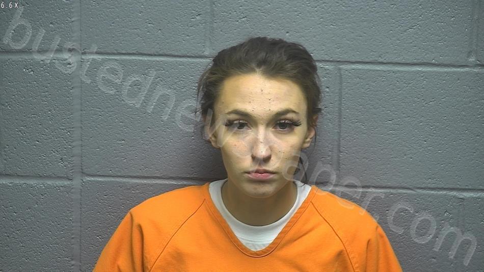 Menefee, Alissa Dawn, N/a 20231205 120500 Rsw Regional Jail