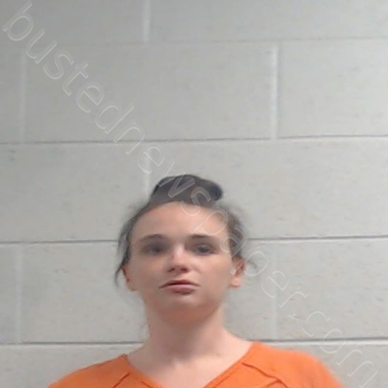 MOORE, BRANDI NICOLE #, Jackson County, North Carolina - 2023-12-06 08:17:00