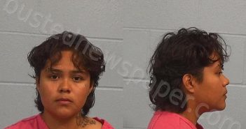 HERNANDEZ, YOLIDABETH | 2023-12-07 Williamson County, Texas Booking