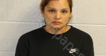 LITTLEJOHN, SHIRA LYNN | 2023-12-08 19:00:00 Jackson County, North Carolina Booking