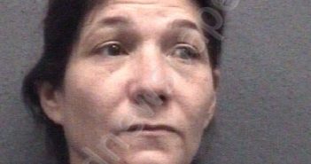 ZIMMER, MELISSA ANN | 2023-12-08 Muskegon County, Michigan Booking