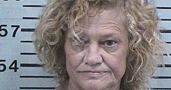 PURSELLEY, KAREN WATKINS | 2023-12-09 02:25:02 Hood County, Texas Booking