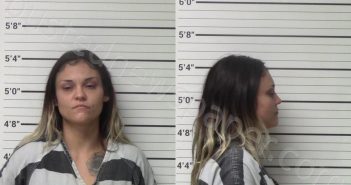 RAMOS, LYDIA MICHELLE | 2023-12-09 Kerr County, Texas Booking