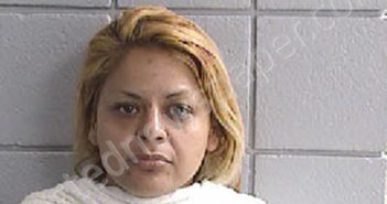 <B>GUTIERREZ</B>, <B>MARIA</B> <B>CONSECION</B> #, Navarro County, Texas - 2023-12-10 12:36:00