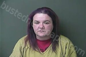 DILLINGER, JAMIE ANN | 2023-12-10 00:48:00 Howard County, Indiana Booking