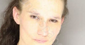 MCMILLAN, BRIDGET MARIE | 2023-12-11 20:57:00 Moore County, North Carolina Booking