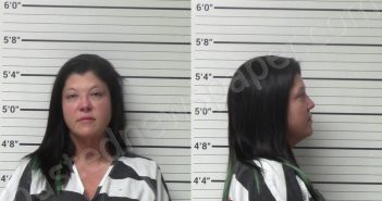 PFIESTER, ADRIANNE ADELE | 2023-12-11 Kerr County, Texas Booking