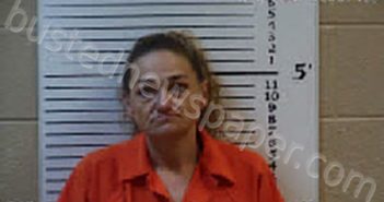 YOCOM, MELIDIE ANN | 2023-12-12 15:26:00 Cherokee County, North Carolina Booking