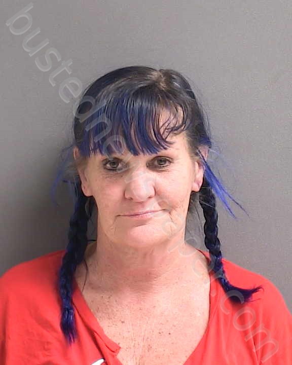CATRON, SHEREE C #, Volusia County, Florida - 2023-12-12 09:53:00