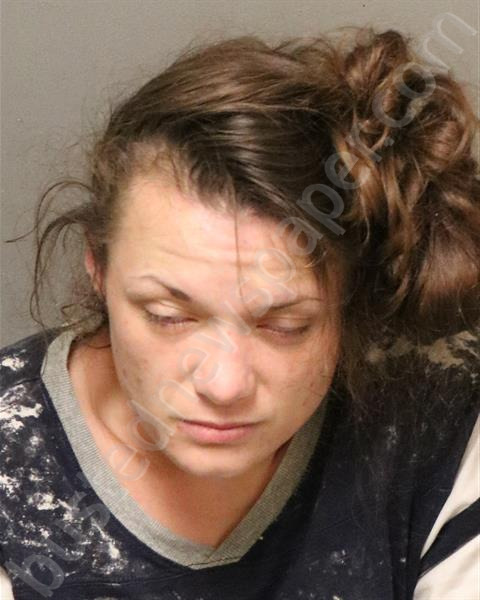 COLLINS, CHRISTINA NICOLE #, New River Valley Regional Jail, Virginia - 2023-12-14