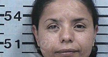 GARCIA-ZERMENO, MARTHA ELENA | 2023-12-14 19:28:32 Hood County, Texas Booking