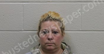 LAURA JEAN MARIE JOHNSON | 2023-12-14 16:31:00 Andrew County, Missouri Booking
