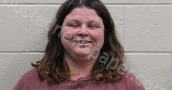 MICHELLE RENEE BROWN | 2023-12-15 12:05:00 Andrew County, Missouri Booking