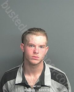 SHEFFIELD, MASON WAYNE | 2023-12-17 20:25:00 Montgomery County, Texas Booking