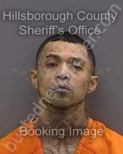 MARTINEZ,DOMINGO JR | 2023-12-18 23:19:00 Hillsborough County, Florida Booking