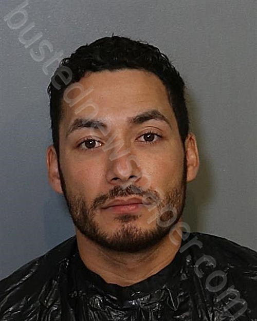 ARTURO DOMINGUEZ #, Osceola County, Florida - 2023-12-20